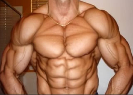 Trenbolone effects on liver